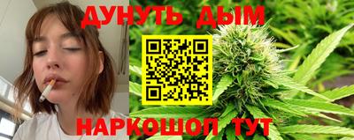 мяу мяу мука Малоярославец